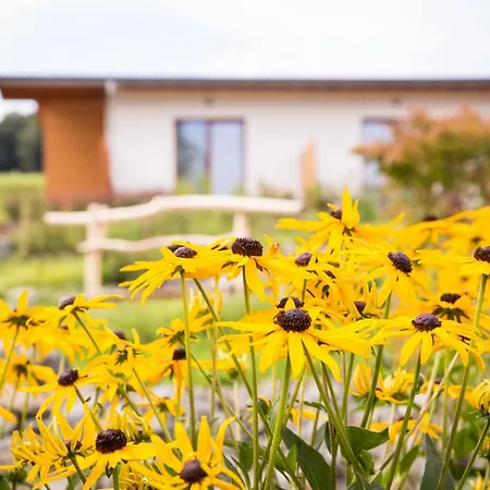 Zur-borke Hotel 3*