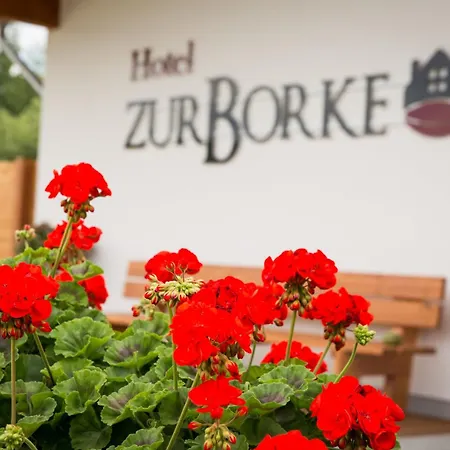 Hotel Zur-borke 3*