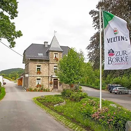 Hotel Zur-borke 3*