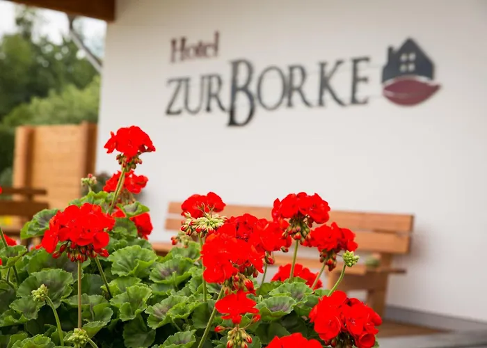 Hotel Zur-borke 3*